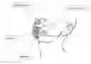 Fig. 01 - IMPLANTS FOR SCULPTING, AUGMENTING OR CORRECTING FACIAL FEATURES SUCH AS THE CHIN