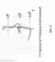 Fig. 03 - IMPLANTS FOR SCULPTING, AUGMENTING OR CORRECTING FACIAL FEATURES SUCH AS THE CHIN