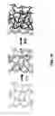 Fig. 07 - Interpenetrating polymer networks