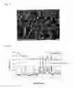 Fig. 02 - Zeolite separation membrane and production method therefor