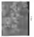 Fig. 06 - Composition of matter and structure of zeolite UZM-55