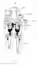 Fig. 08 - Apparatus and system for biofluid sample dispensing and/or assay