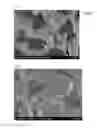 Fig. 02 - Methods of producing bonded magnet and compound for bonded magnets