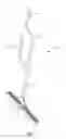 Fig. 02 - Handle for a Tool