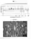 Fig. 04 - Tube