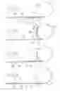 Fig. 07 - Wrapping material and method of manufacturing for baling materials