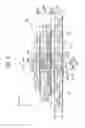 Fig. 10 - Liquid ejecting head and liquid ejecting apparatus