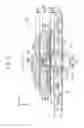 Fig. 12 - Liquid ejecting head and liquid ejecting apparatus