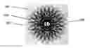 Fig. 01 - Article with dynamic frame formed with aligned pigment flakes