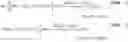 Fig. 02 - CONTROL DEVICE FOR ELECTRIC POWER STEERING DEVICE
