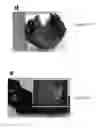Fig. 07 - Methods of synthesizing three-dimensional heteroatom-doped carbon nanotube macro materials and compositions thereof