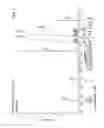 Fig. 02 - Bifunctional compound having norbornane skeleton and method for producing same