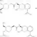 Fig. 85 - Beta-lactamase inhibitors