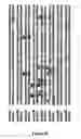 Fig. 08 - GENERATION OF PEPTIDES