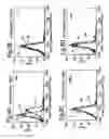 Fig. 09 - Caged cell penetrating peptide-polymer conjugates for diagnostic and therapeutic applications