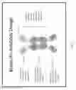 Fig. 02 - Antibody based gene therapy with tissue-directed expression