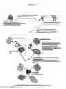 Fig. 45 - METHOD OF TREATING LOCALIZED FIBROTIC DISORDERS USING AN IL-33/TNF BISPECIFIC ANTIBODY