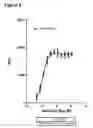 Fig. 07 - Antibodies against factor XI and uses thereof