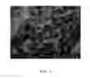 Fig. 02 - Method for preparing polyaniline complex with antimicrobial activity and heavy metal removal efficiency using conductive poly aniline polymer doped with organic acid and metal ion in defined order