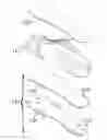 Fig. 01 - SOLE STRUCTURES INCLUDING POLYOLEFIN PLATES AND ARTICLES OF FOOTWEAR FORMED THEREFROM