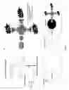Fig. 02 - Compounds, linked with haptens, for the detection of senescent cells