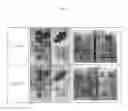 Fig. 08 - Mixed ink mixed with far-infrared radiation material, method for preparing same, and printed matter with mixed ink printed thereon