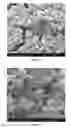 Fig. 49 - Treated geothermal brine compositions with reduced concentration of silica, iron and lithium