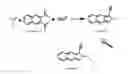 Fig. 02 - Fluorescent detection of amines and hydrazines and assaying methods thereof