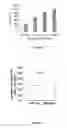 Fig. 06 - Low Rigidity Gels for MSC Growth Modulation