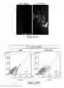 Fig. 49 - Specification of functional cranial placode derivatives from human pluripotent stem cells