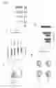 Fig. 02 - MODULATION OF FUNCTION OF IMMUNE EFFECTOR CELLS