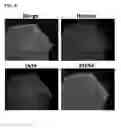 Fig. 09 - Methods and products for transfection