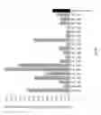 Fig. 07 - Malate dehyrogenases