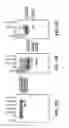 Fig. 09 - MODULATION OF EXON RECOGNITION IN PRE-MRNA BY INTERFERING WITH THE SECONDARY RNA STRUCTURE
