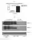 Fig. 02 - Intrathecal delivery of nucleic acid sequences encoding ABCD1 for treatment of adrenomyeloneuropathy