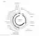 Fig. 06 - METHOD OF INCREASING THE REPLICATION OF A CIRCULAR DNA MOLECULE