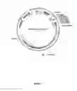 Fig. 07 - Low glucosinolate pennycress meal and methods of making