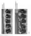 Fig. 02 - ToLCNDV resistant melon plants