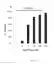 Fig. 04 - Enhancing Bacillus Thuringiensis CRY Insecticidal Activity With a Chaperone