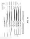 Fig. 22 - GENE KNOCKIN METHOD AND KIT FOR GENE KNOCKIN