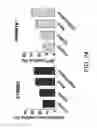 Fig. 28 - GENE KNOCKIN METHOD AND KIT FOR GENE KNOCKIN