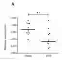 Fig. 01 - Methods and compositions for predicting chronic lung allograft dysfunction