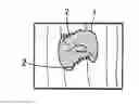 Fig. 01 - FERRITIC STAINLESS STEEL SHEET AND METHOD FOR PRODUCING THE SAME