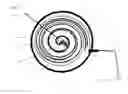 Fig. 02 - Autonomous impressed current cathodic protection device on metal surfaces with a spiral magnesium anode