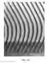 Fig. 08 - Smooth and bulky tissue