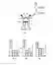 Fig. 02 - ADJUSTMENT OF AN INTERNAL COMBUSTION ENGINE