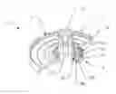Fig. 01 - Pump membrane for diaphragm pump