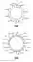 Fig. 07 - Gas turbine engine having a mistuned stage