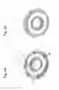 Fig. 02 - Control method of an electromagnetic brake with a controllable armature disc movement