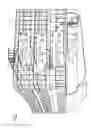Fig. 02 - Condenser unit with fan